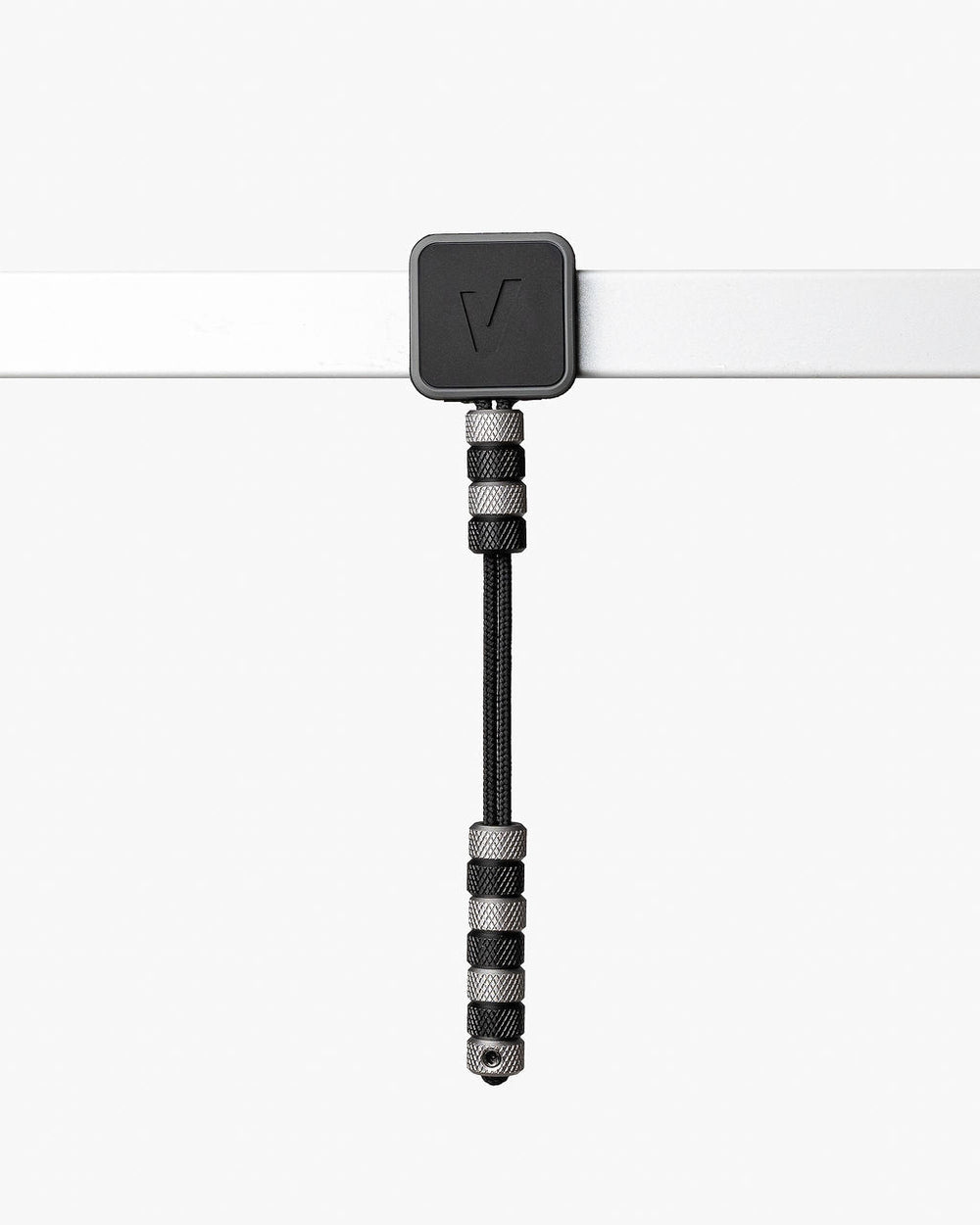 Velites Abaco